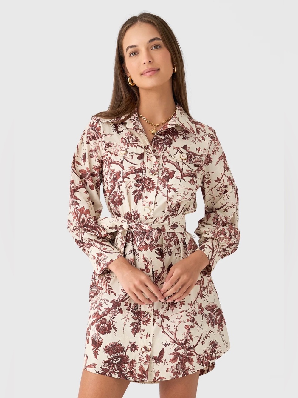 CARA CARA Villena Dress Belted Mini Flora Toile Ivory Brown Button Down Sz L